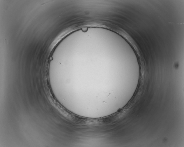X0000116131002200912211711