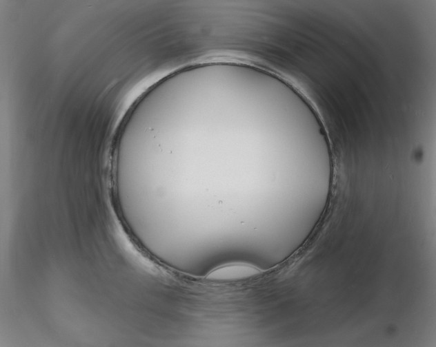 X0000116131003200912211711
