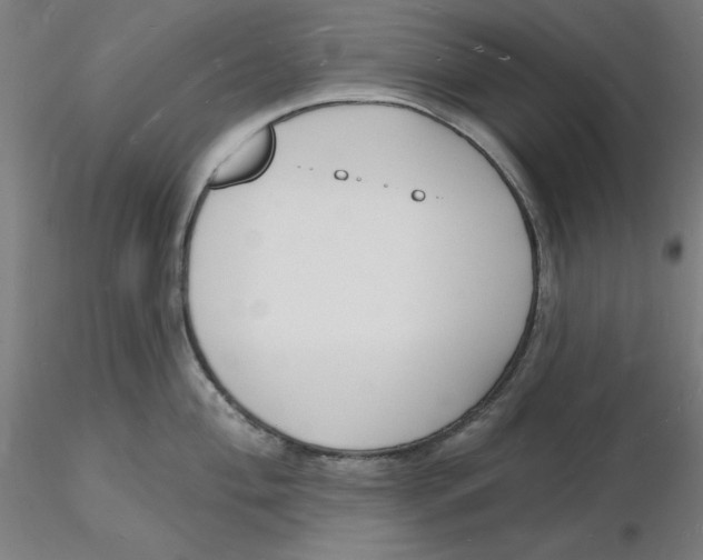 X0000116131004200912211711
