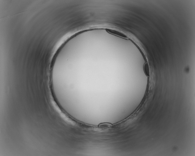 X0000116131005200912211711