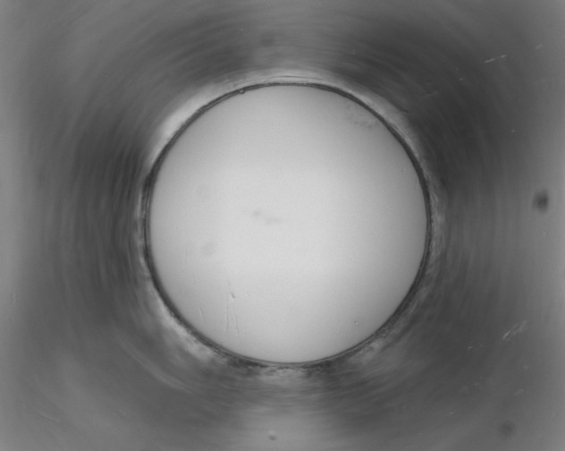 X0000116131006200912211711