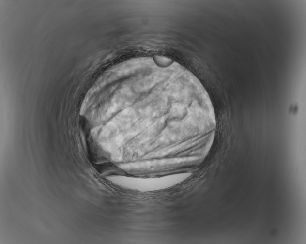 X0000116131009200912211710