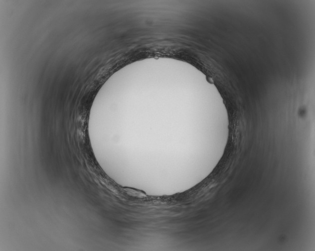 X0000116131010200912211710