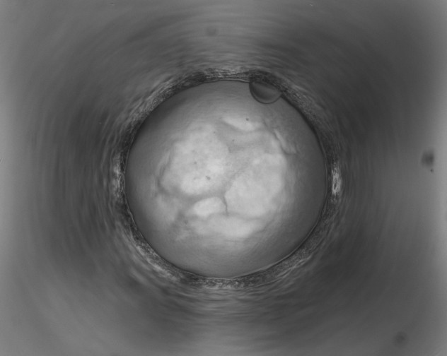 X0000116131011200912211710