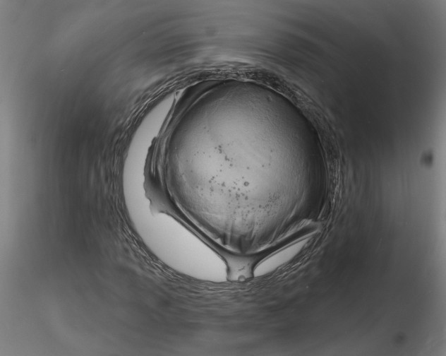 X0000116131013200912211710