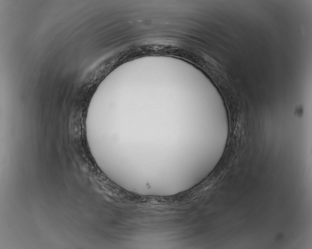 X0000116131014200912211710