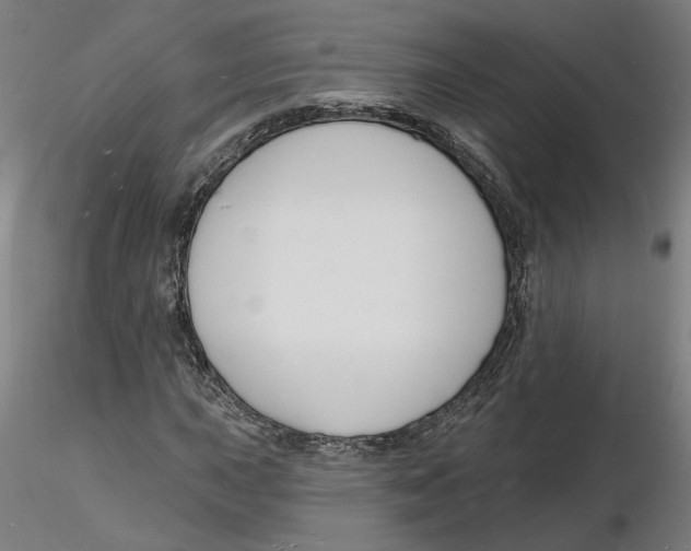 X0000116131015200912211710