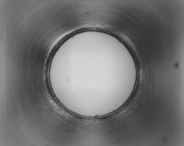 X0000116131020200912211711