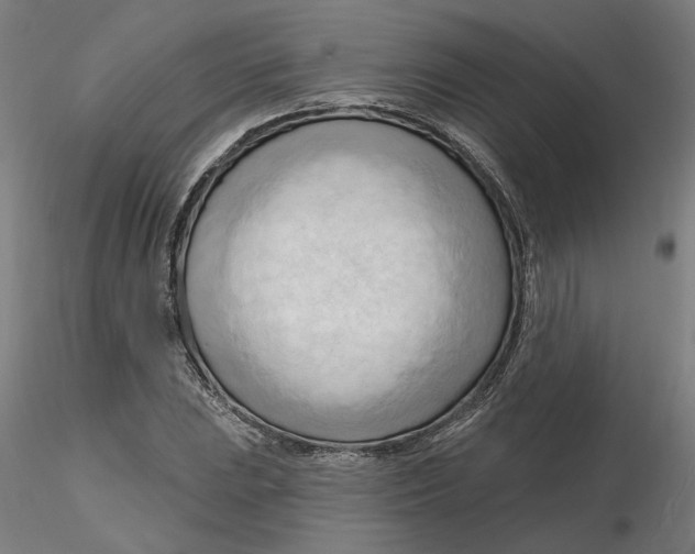 X0000116131023200912211711