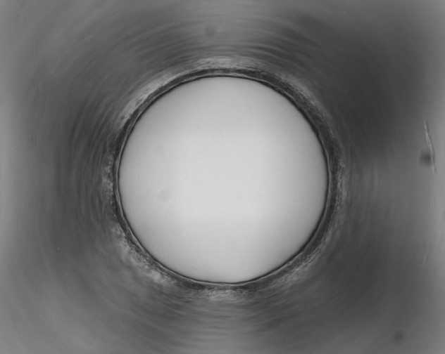 X0000116131025200912211711