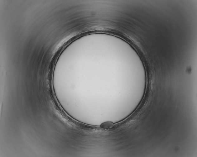 X0000116131026200912211711