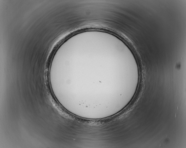 X0000116131029200912211711