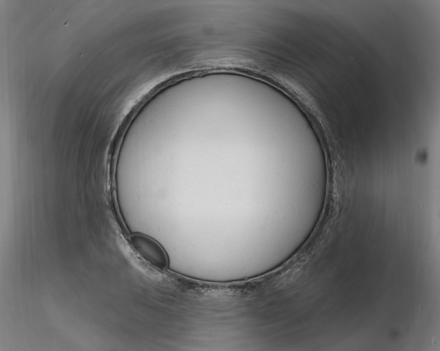 X0000116131031200912211711