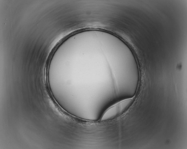 X0000116131032200912211711