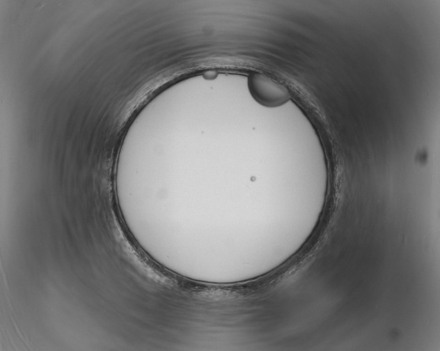 X0000116131033200912211711