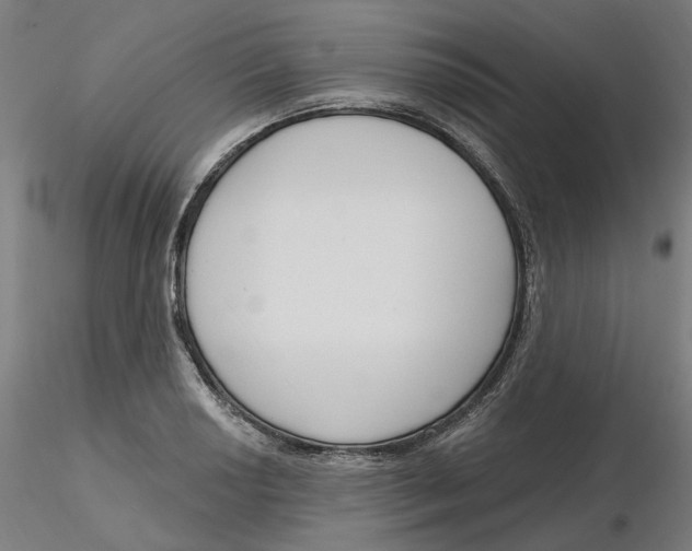 X0000116131034200912211711