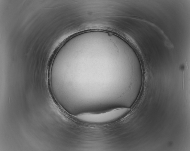 X0000116131035200912211711