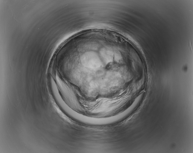X0000116131037200912211711