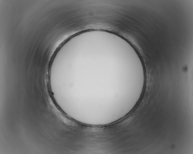 X0000116131040200912211711