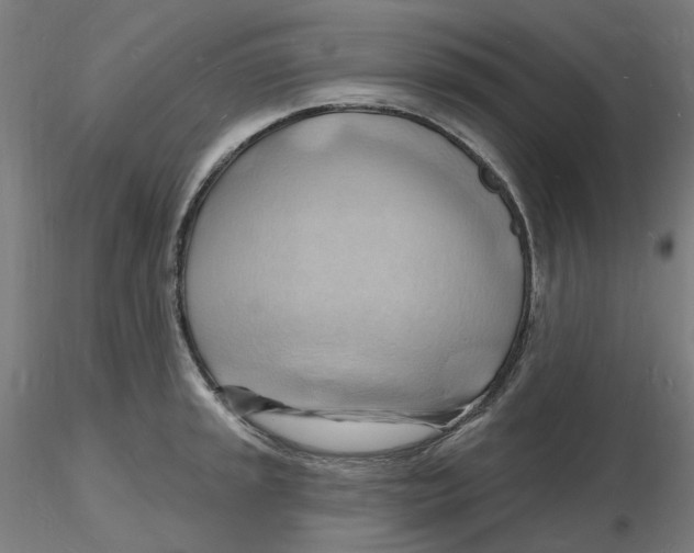 X0000116131045200912211711