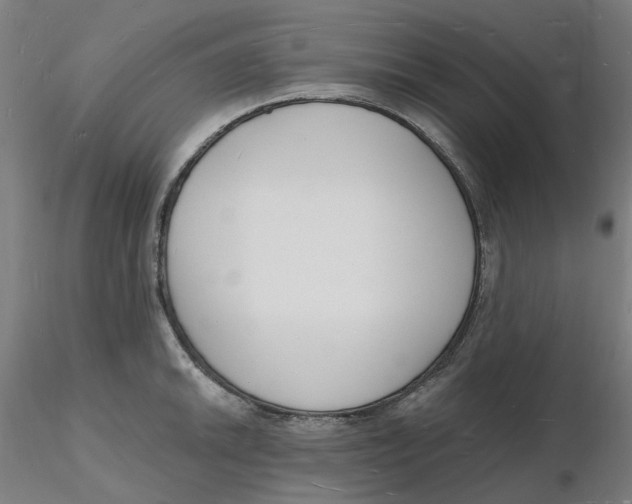 X0000116131046200912211711