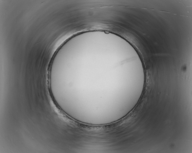 X0000116131047200912211711