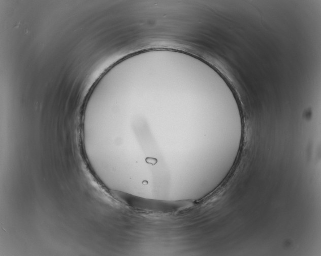 X0000116131048200912211711