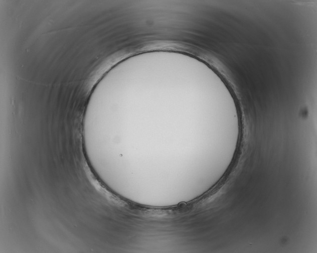 X0000116131049200912211711