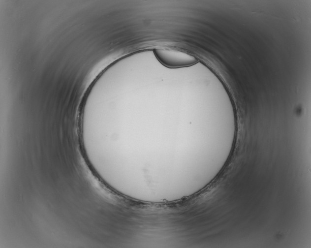 X0000116131050200912211711