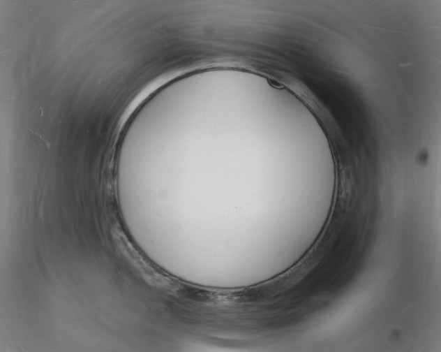 X0000116131052200912211711