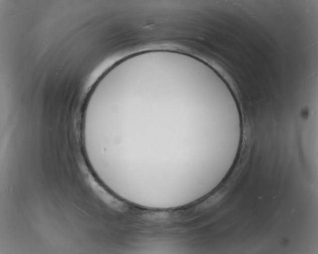 X0000116131054200912211711