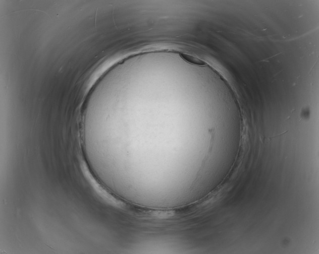 X0000116131055200912211711