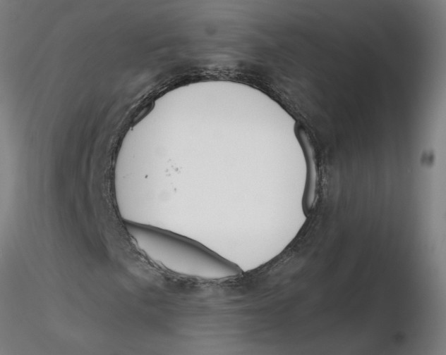 X0000116131057200912211710