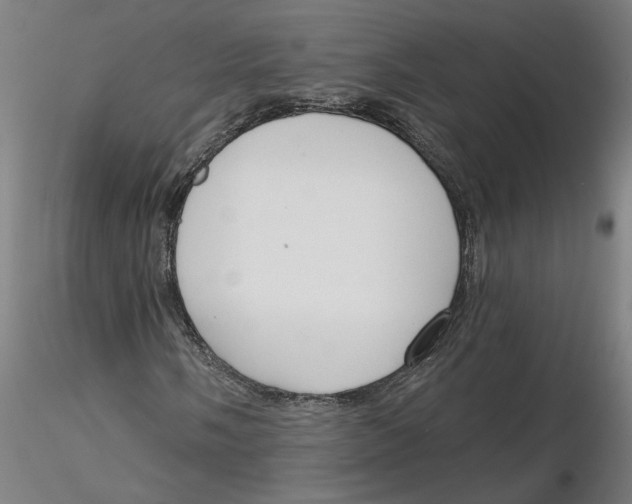 X0000116131058200912211710