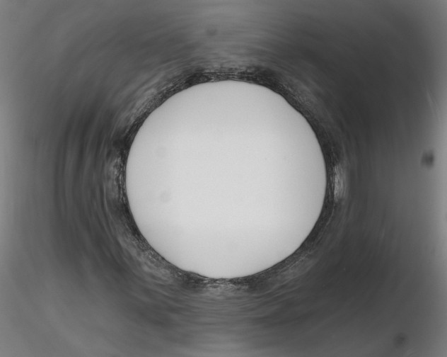 X0000116131059200912211710