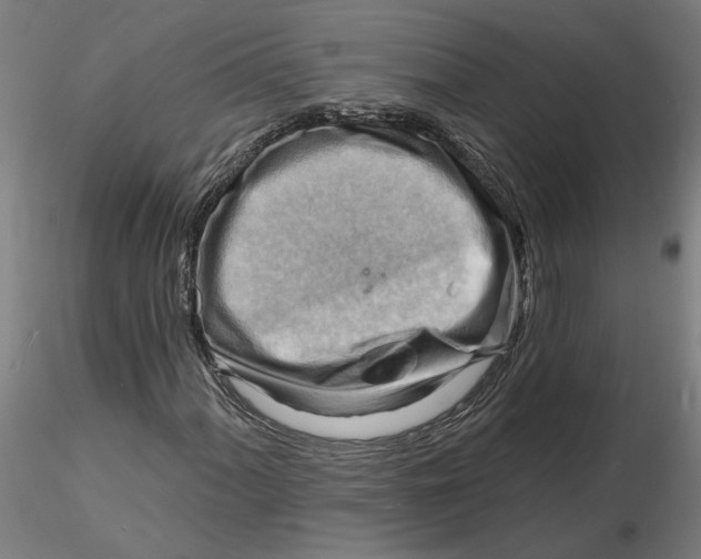 X0000116131060200912211710