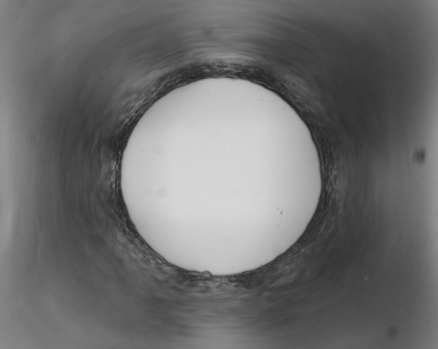 X0000116131061200912211710