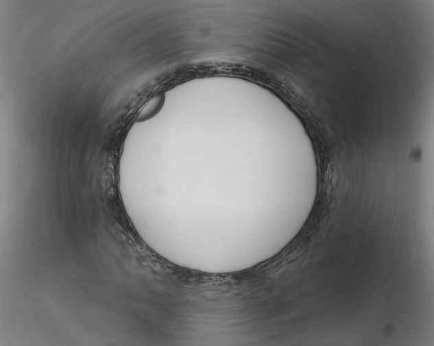 X0000116131062200912211710