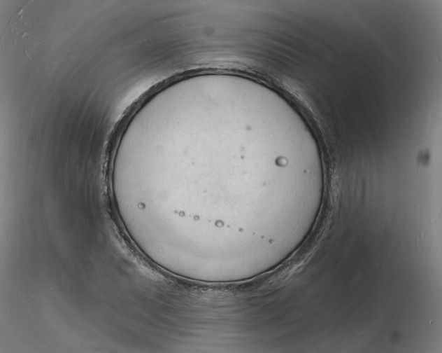 X0000116131071200912211710