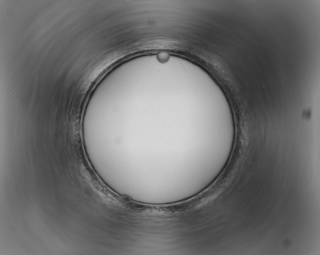X0000116131073200912211710