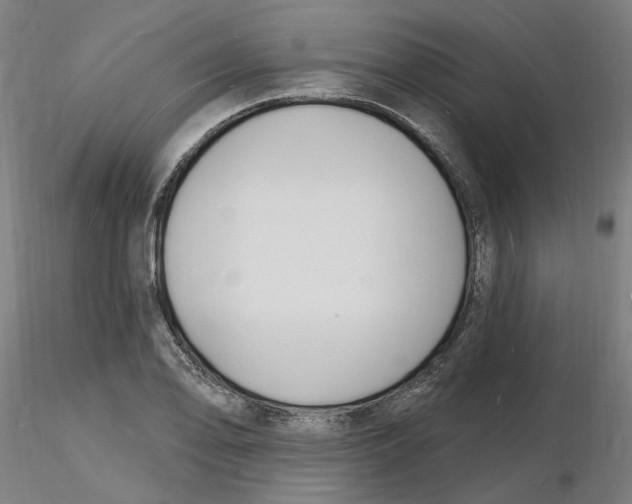 X0000116131078200912211710