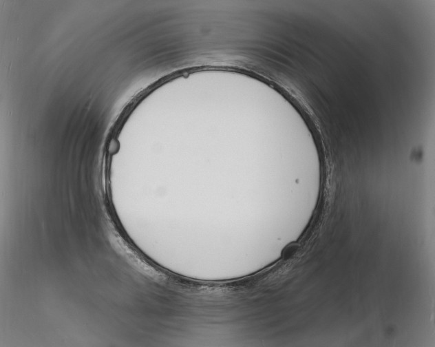 X0000116131080200912211710