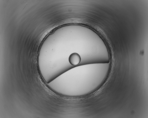 X0000116131081200912211710