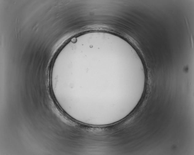 X0000116131082200912211710