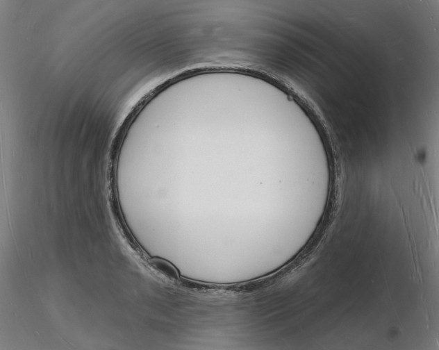 X0000116131085200912211710