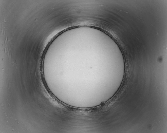 X0000116131086200912211710