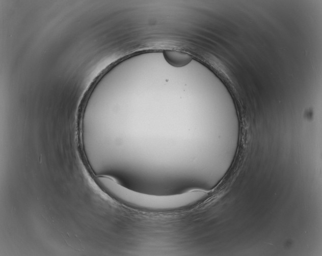X0000116131087200912211710