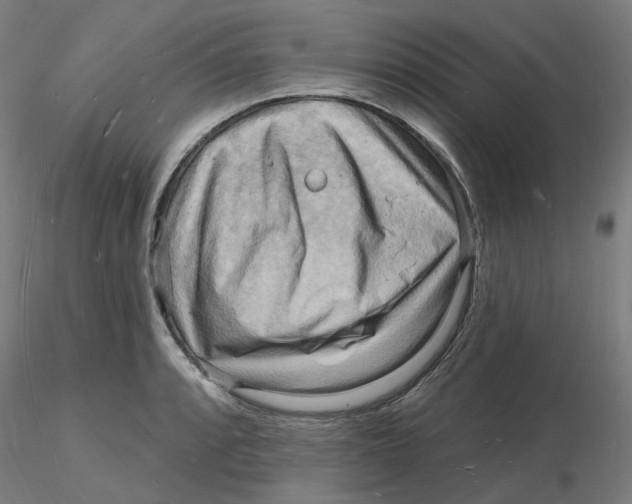 X0000116131088200912211710