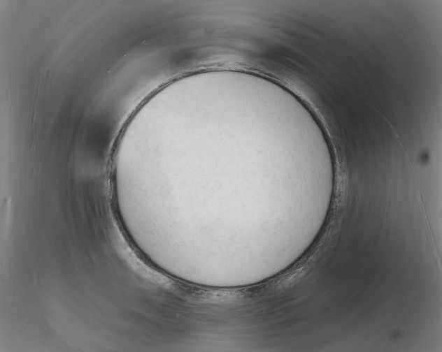 X0000116131090200912211710