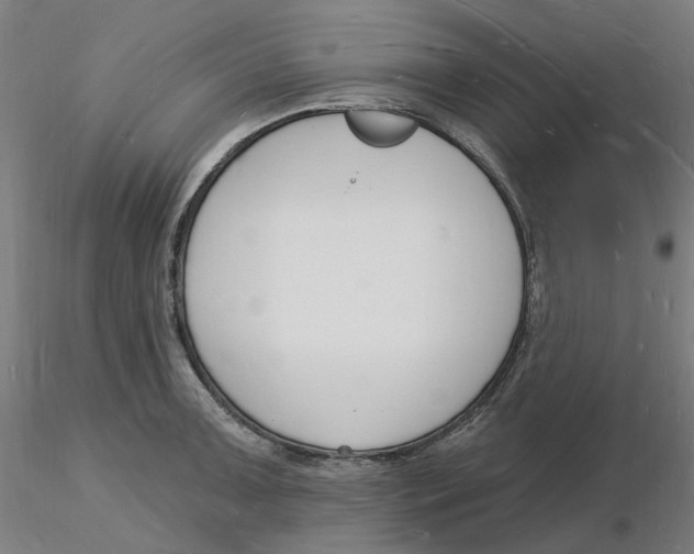 X0000116131091200912211710